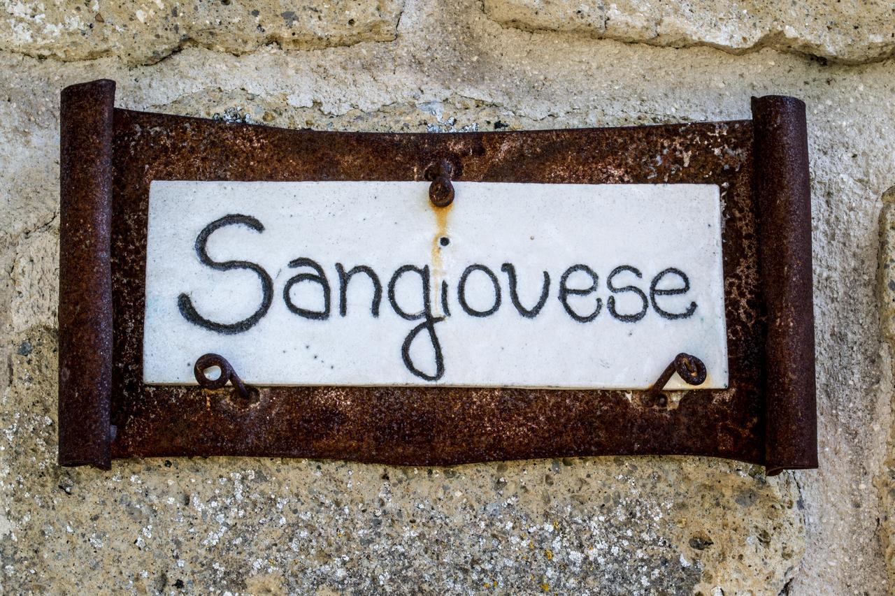 Agriturismo Poggio Delle Conche بيتيجليانو المظهر الخارجي الصورة